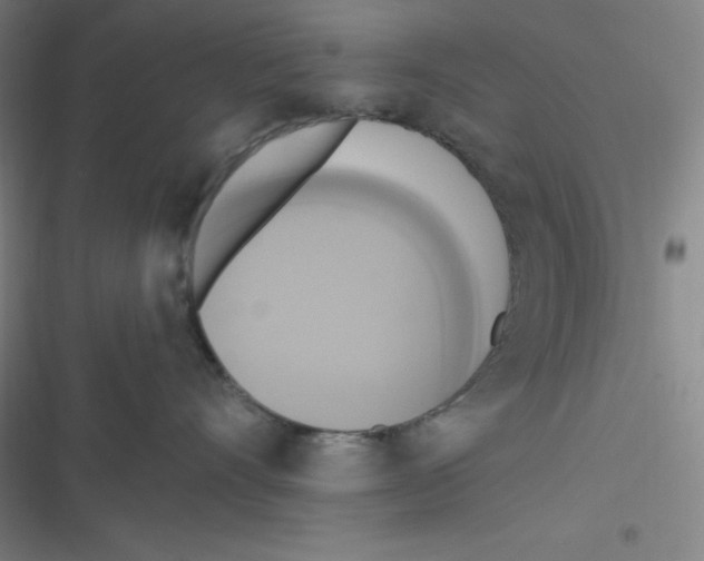 X0000116830528201001081440