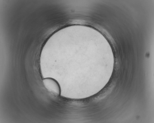 X0000116830529201001081439