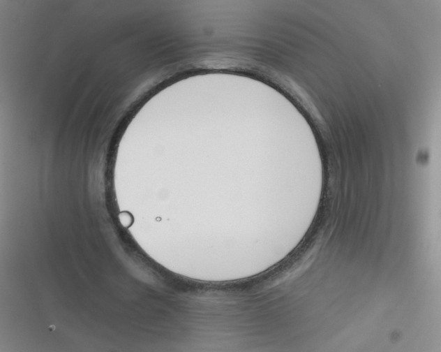 X0000116830530201001081439