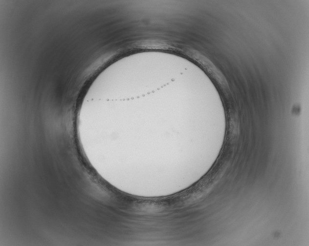 X0000116830533201001081440