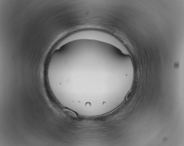 X0000116830534201001081440