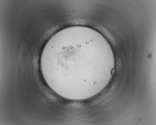 X0000116830537201001081440