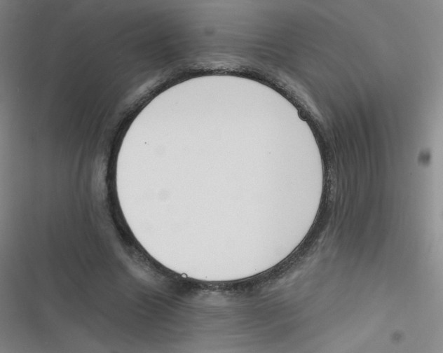 X0000116830538201001081440