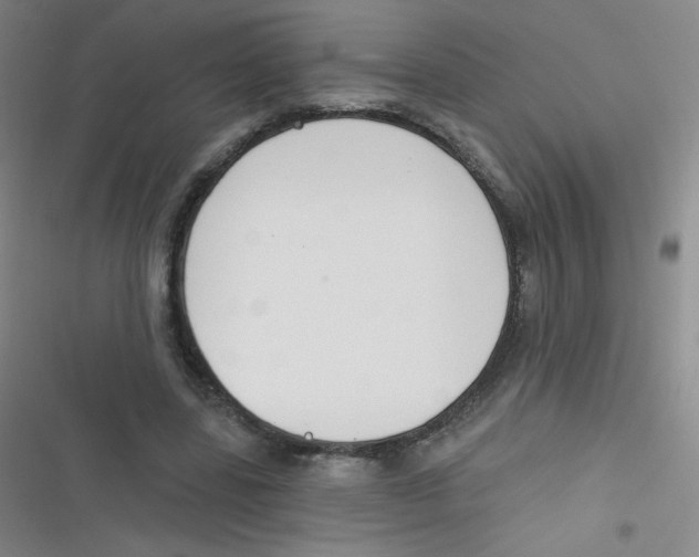 X0000116830539201001081440