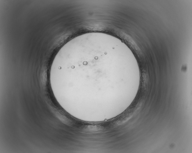 X0000116830541201001081440