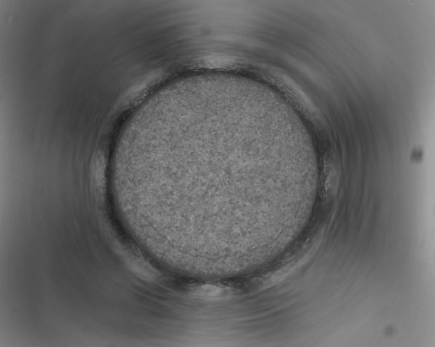 X0000116830542201001081440