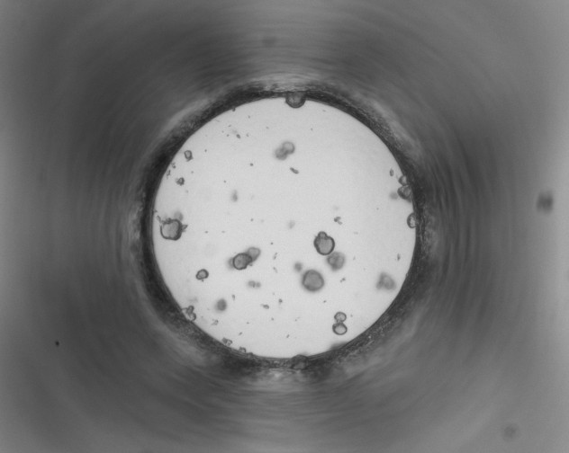 X0000116830543201001081440