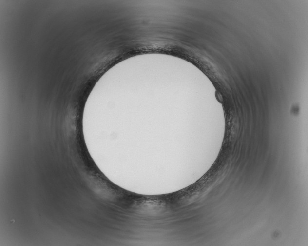 X0000116830546201001081440