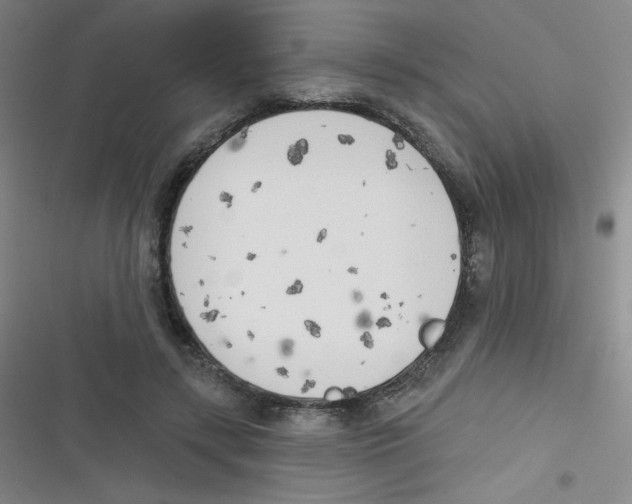 X0000116830547201001081440