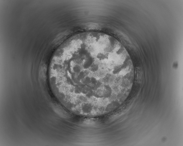 X0000116830550201001081440