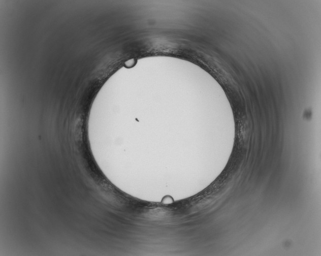 X0000116830551201001081440