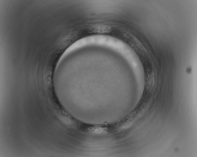 X0000116830553201001081440