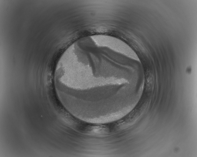 X0000116830555201001081440