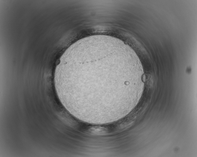 X0000116830557201001081440