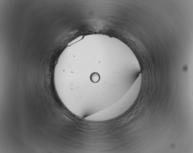 X0000116830558201001081440