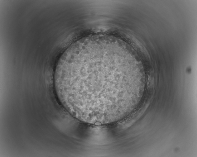 X0000116830561201001081440