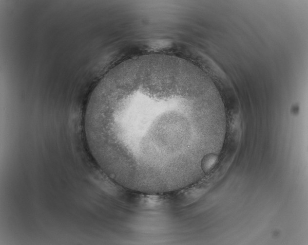 X0000116830565201001081440