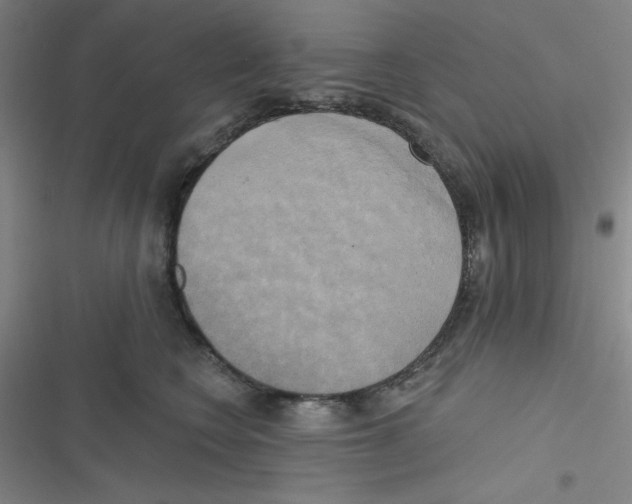 X0000116830566201001081440