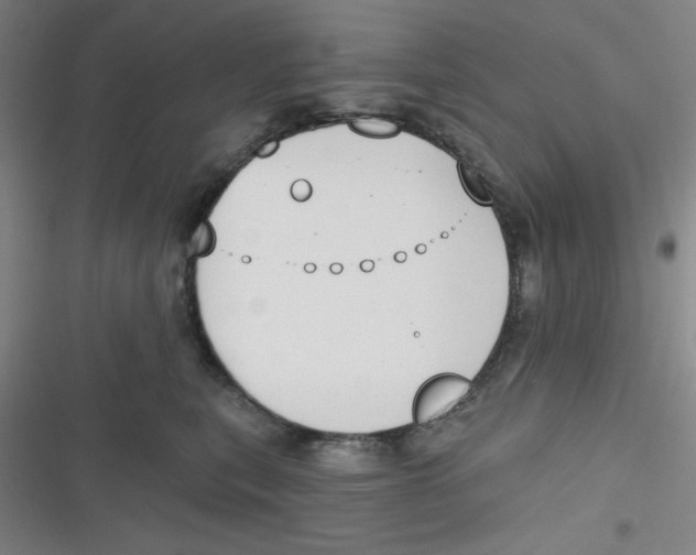 X0000116830567201001081440