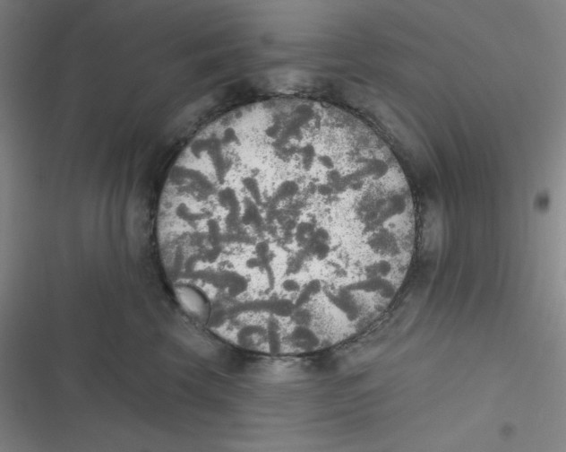 X0000116830569201001081440