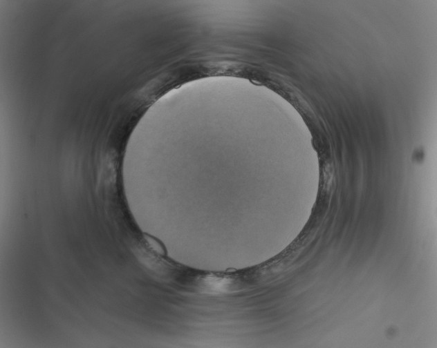 X0000116830570201001081440