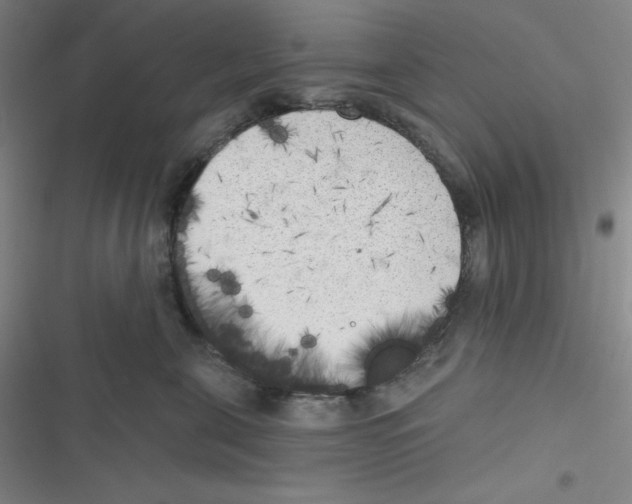 X0000116830571201001081440