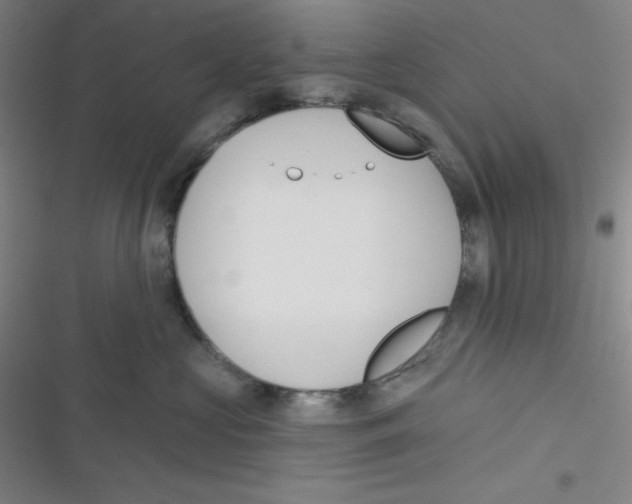 X0000116830573201001081440