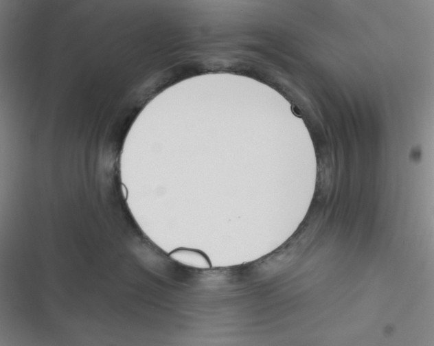 X0000116830574201001081440