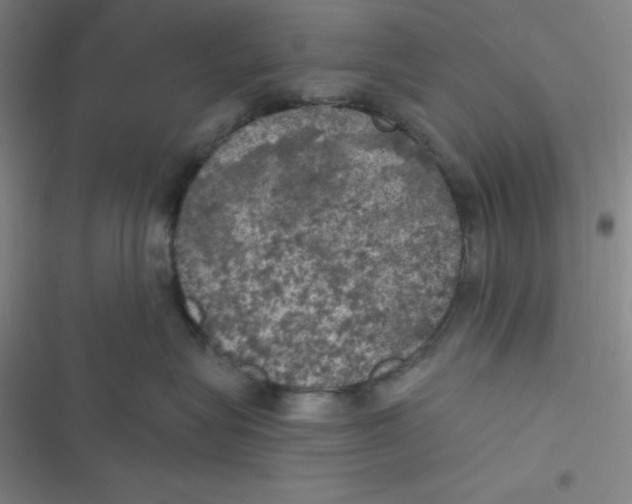 X0000116830575201001081440