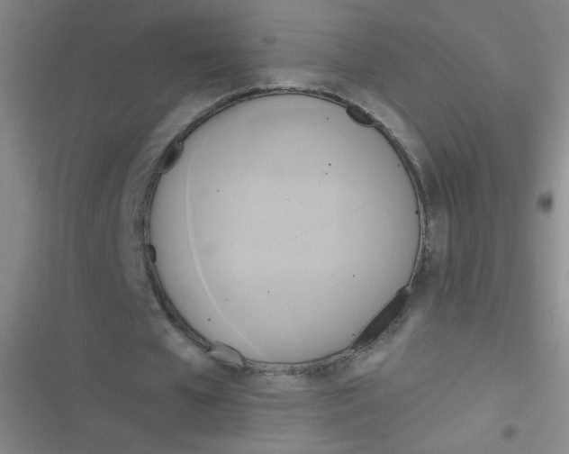 X0000116830577201001081439