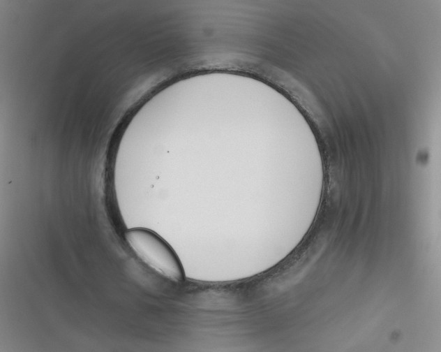 X0000116830578201001081439