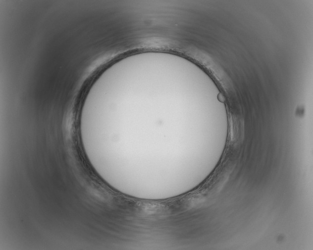 X0000116830579201001081439