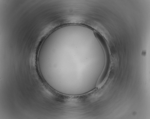 X0000116830581201001081439