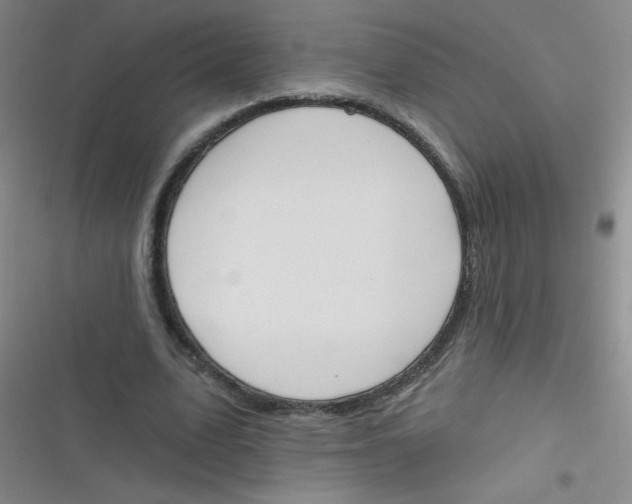 X0000116830583201001081439