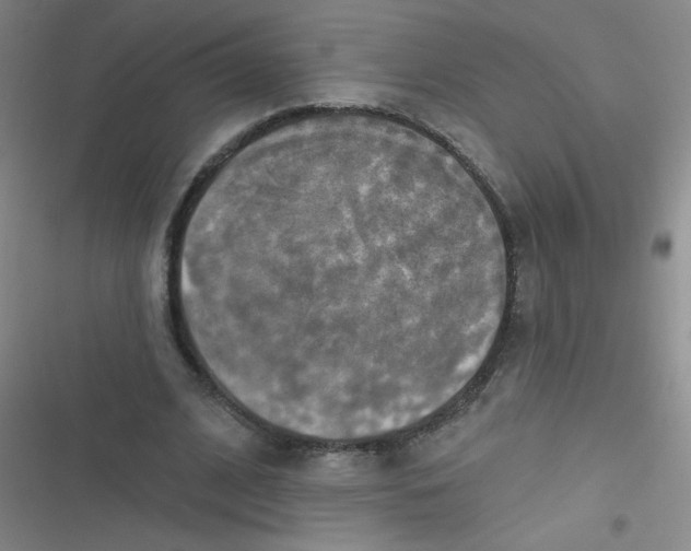 X0000116830584201001081439