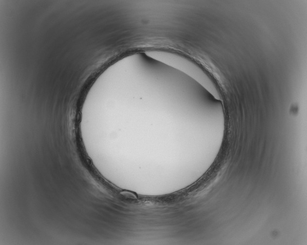 X0000116830585201001081439