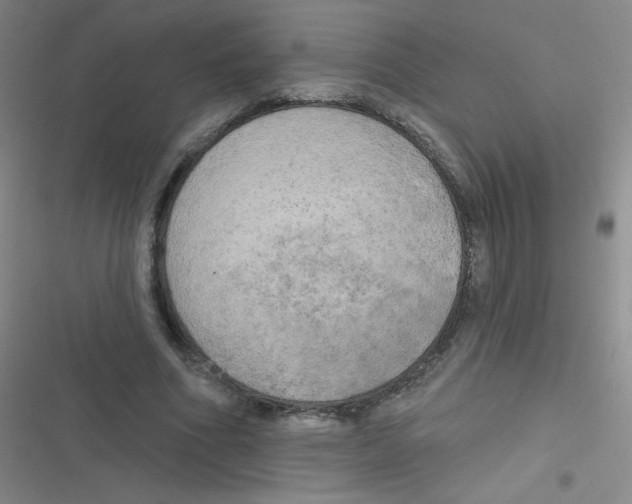 X0000116830586201001081439