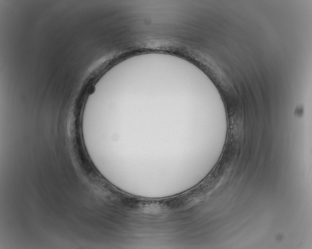 X0000116830587201001081439