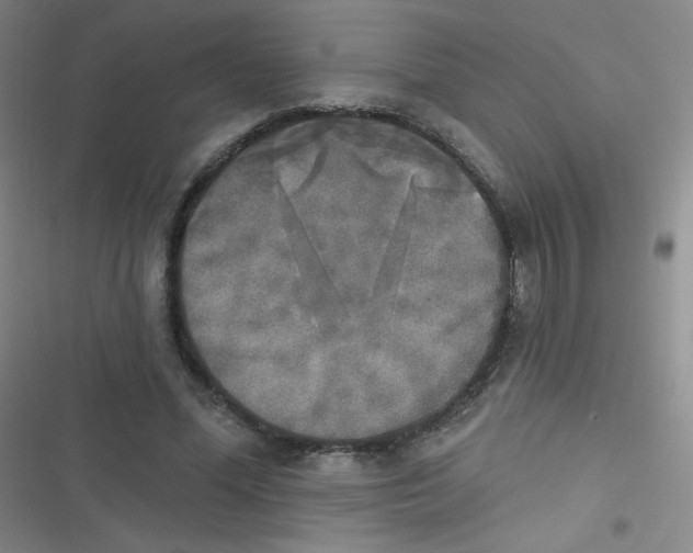 X0000116830588201001081439