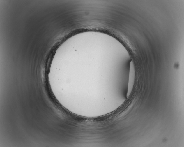 X0000116830589201001081439