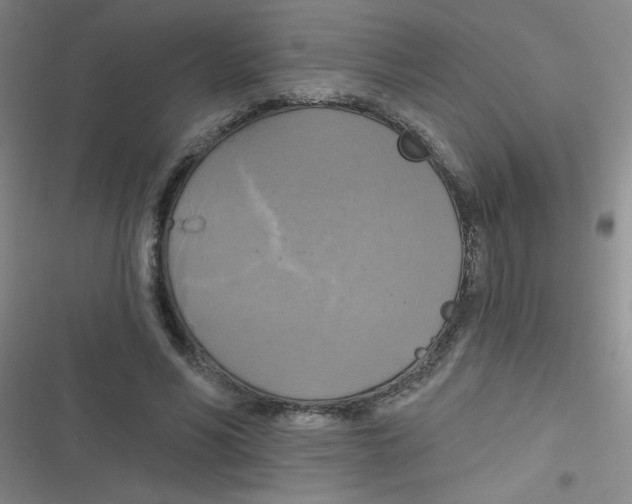 X0000116830590201001081439