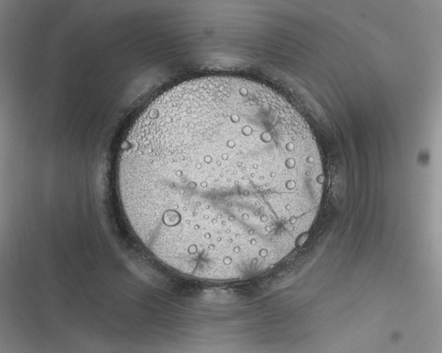 X0000116830591201001081439