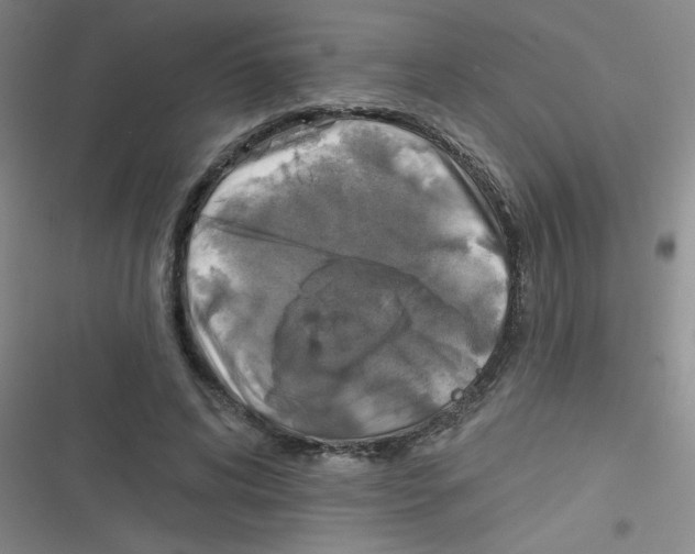 X0000116830592201001081439