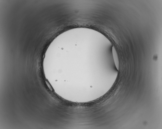 X0000116830593201001081439