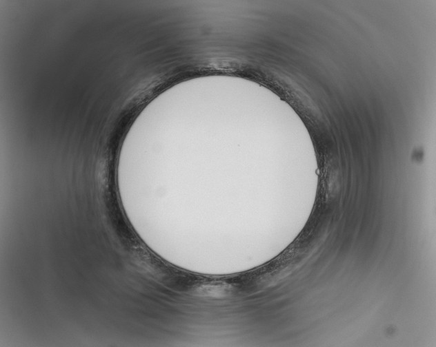 X0000116830595201001081439