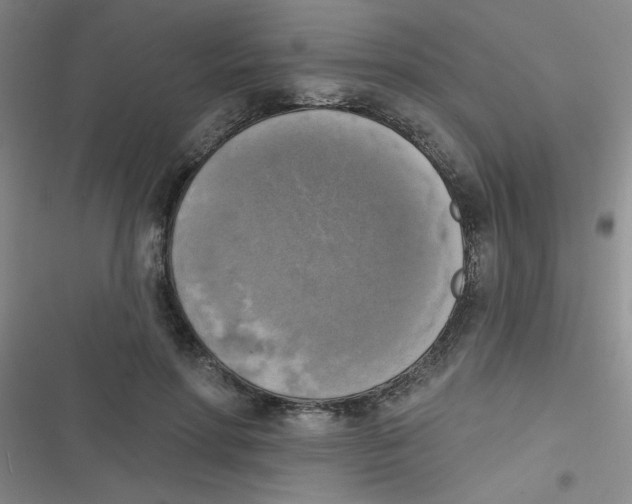 X0000116830598201001081439