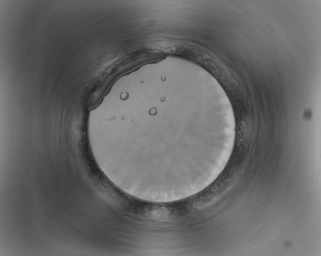 X0000116830600201001081439