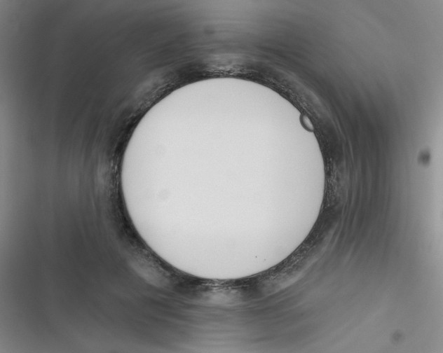 X0000116830601201001081439