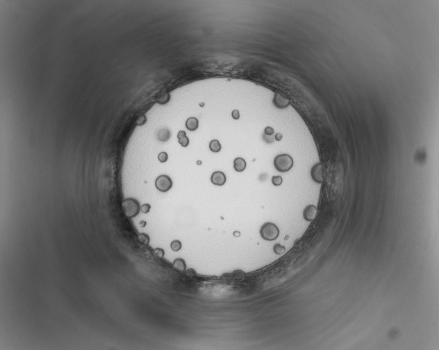 X0000116830602201001081439