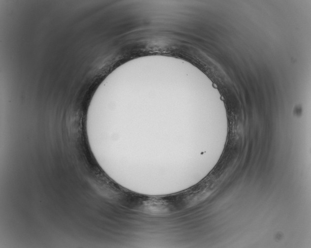 X0000116830603201001081439